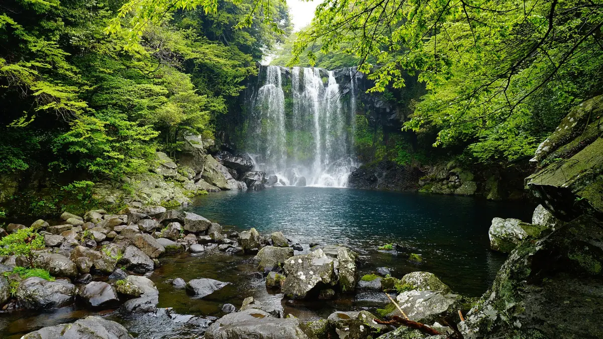 Cheonjeyeon Falls in the forest