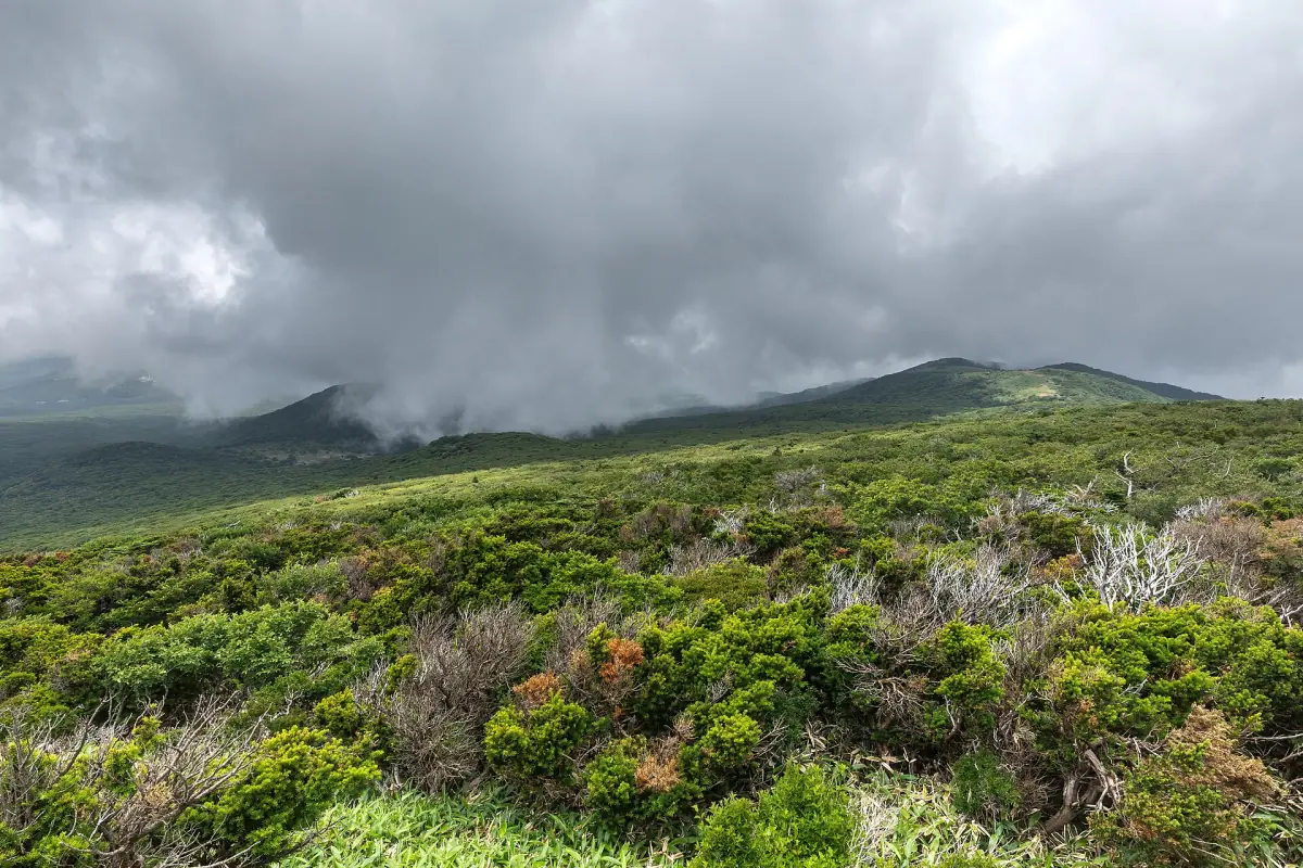 Low clouds over the slopes of Hallasan