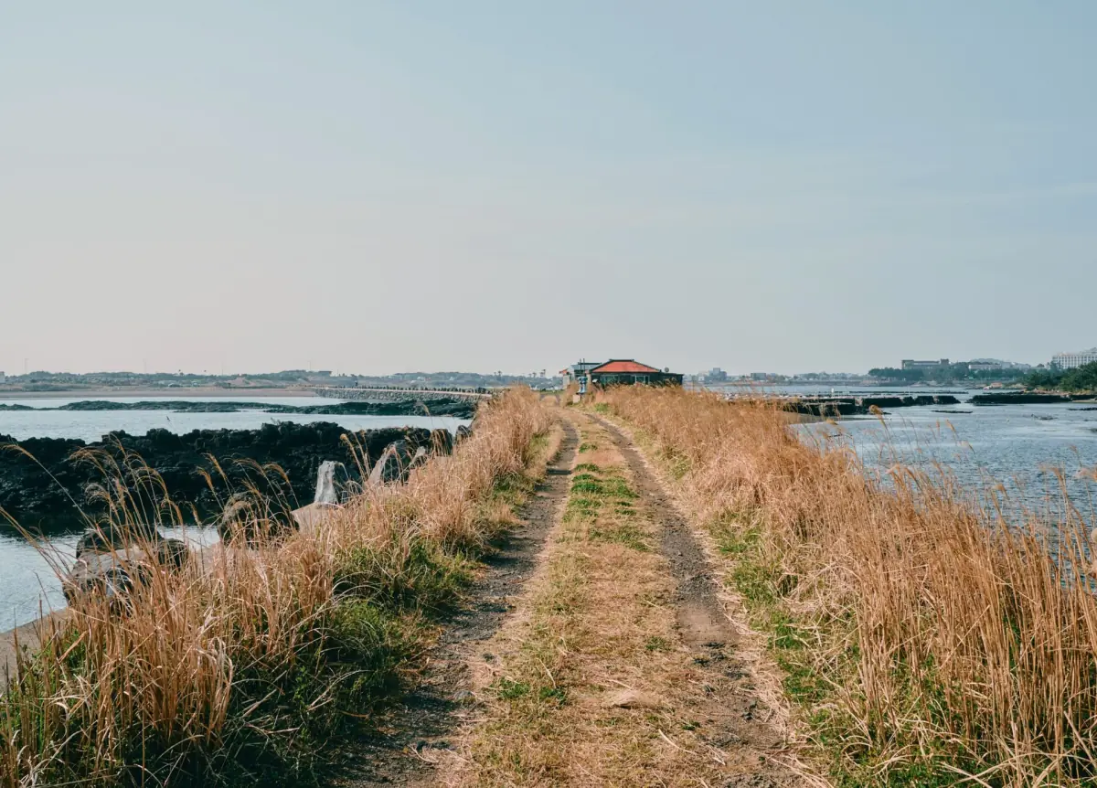 A grassy coastal path on the Olle trail