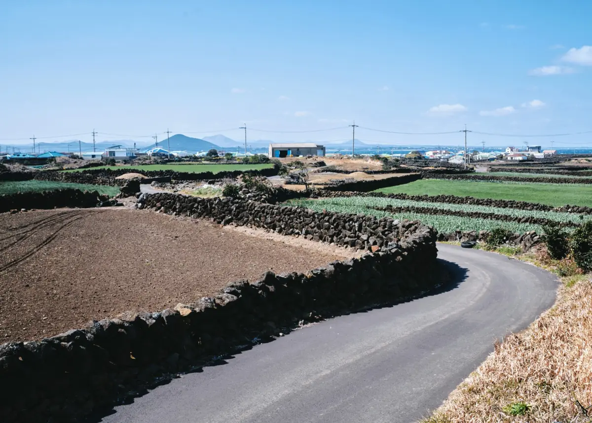 Stone walls and fields on an Olle route