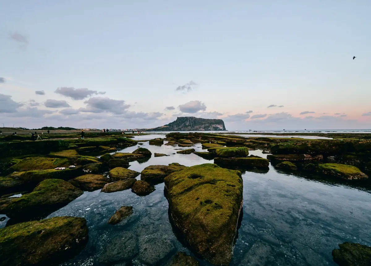Mossy tide pools with Seongsan behind